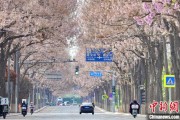 蓬莱共建“花园城市” 北京这场议政会“百花齐放”
